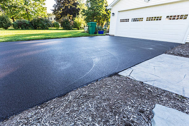 Best Driveway Pressure Washing in Bishopville, SC